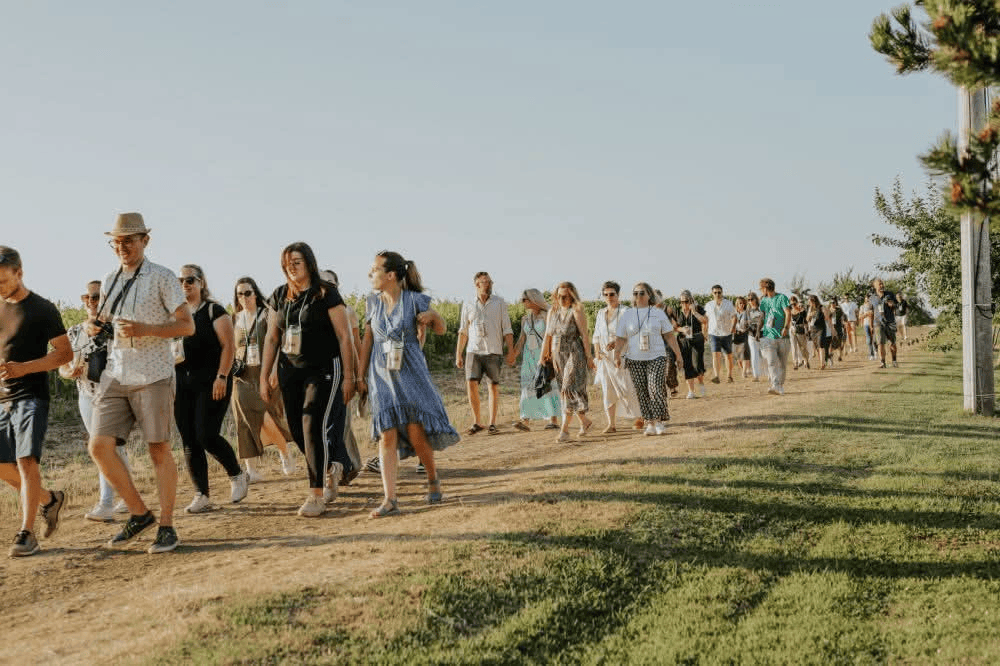 d6e3bb2d f61c 4c87 af35 bcd863aae271